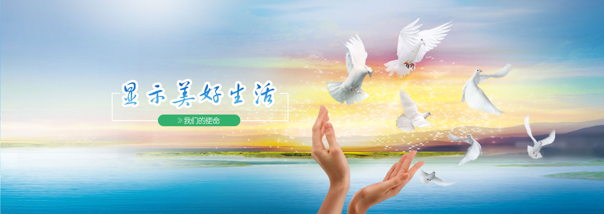 bb贝博登录官网